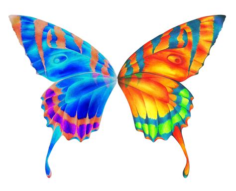 butterfly wings images|butterfly wings clip art.